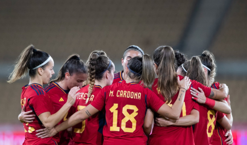 Imagen de grupo de la selección española, celebrando en equipo el gol que le pasa a la gran final